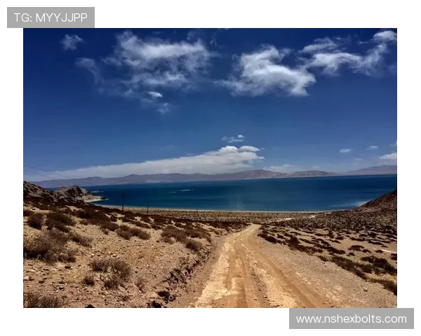 开云真人手机版优惠活动不断,丰富奖励等待你的领取 开云真人手机版优惠活动不断,丰富奖励等待你的领取